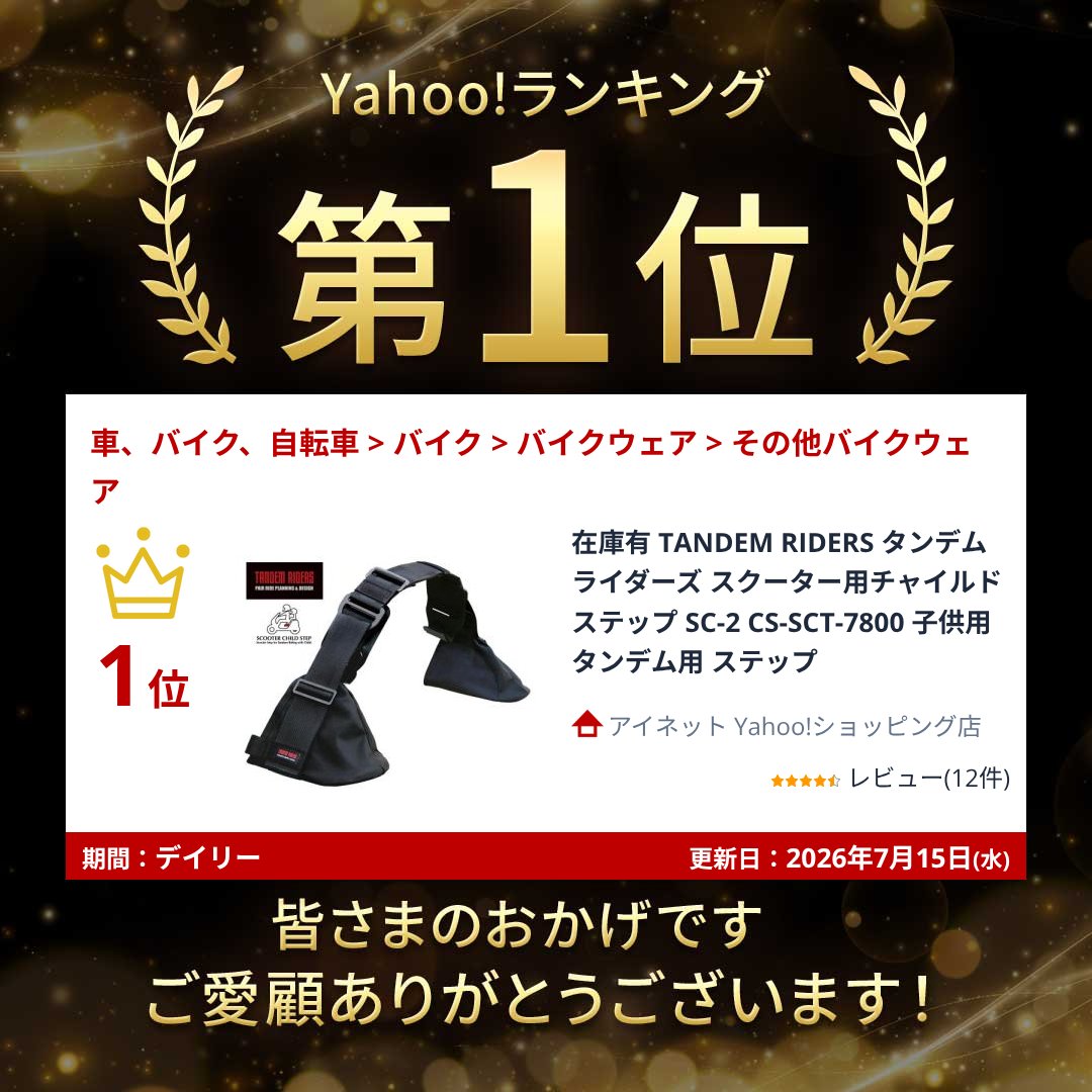 在庫有 TANDEM RIDERS タンデムライダーズ スクーター用チャイルド