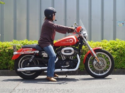 295mmアジャスタブルサスペンション