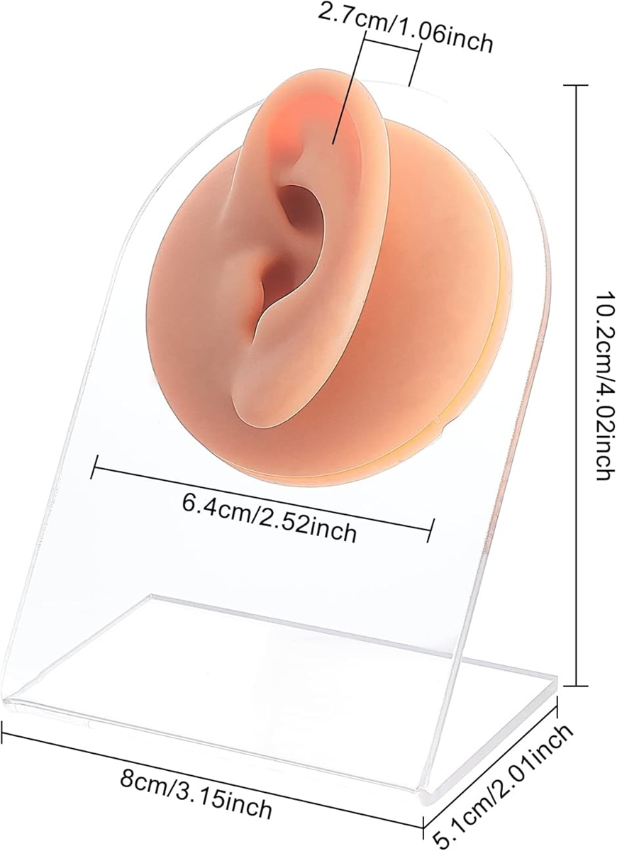 1セット シリコン模型 顔の器官 人工 シリコンモデル 縫合練習用 絵画