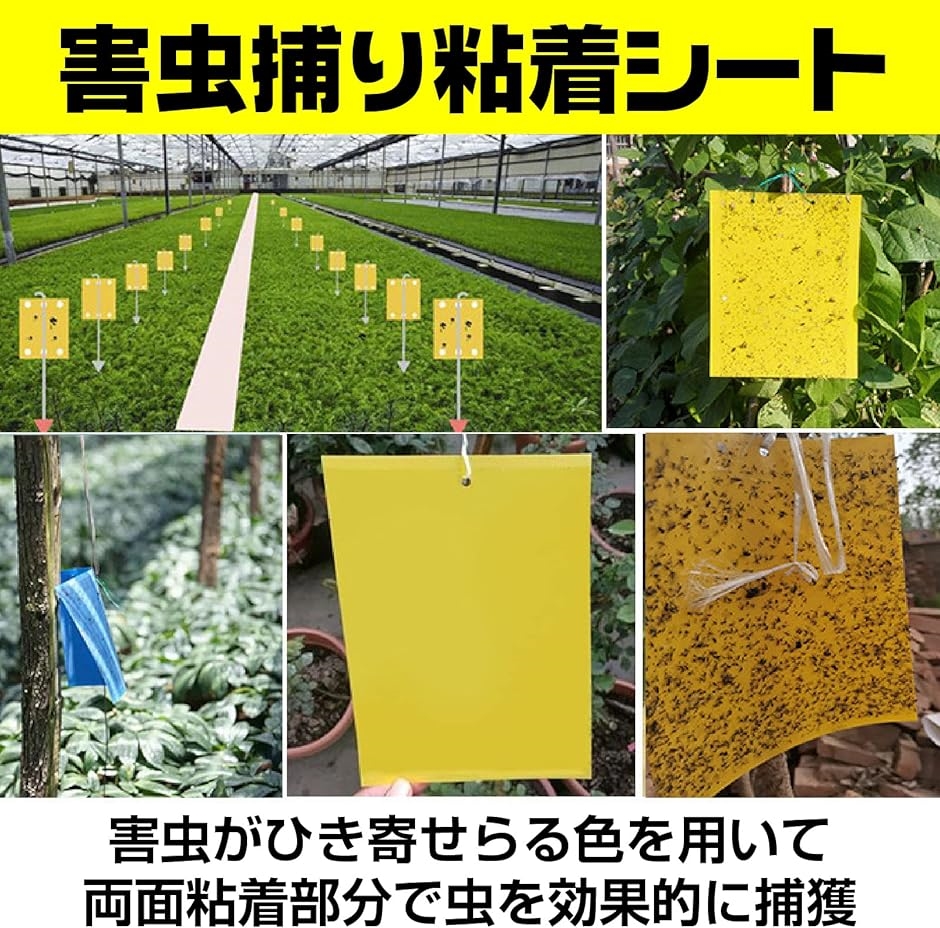 虫取り 粘着シート 粘着トラップ 害虫捕獲粘着紙 両面粘着紙 30枚セット Yellow 20x30( Yellow 20x30)｜horikku｜02