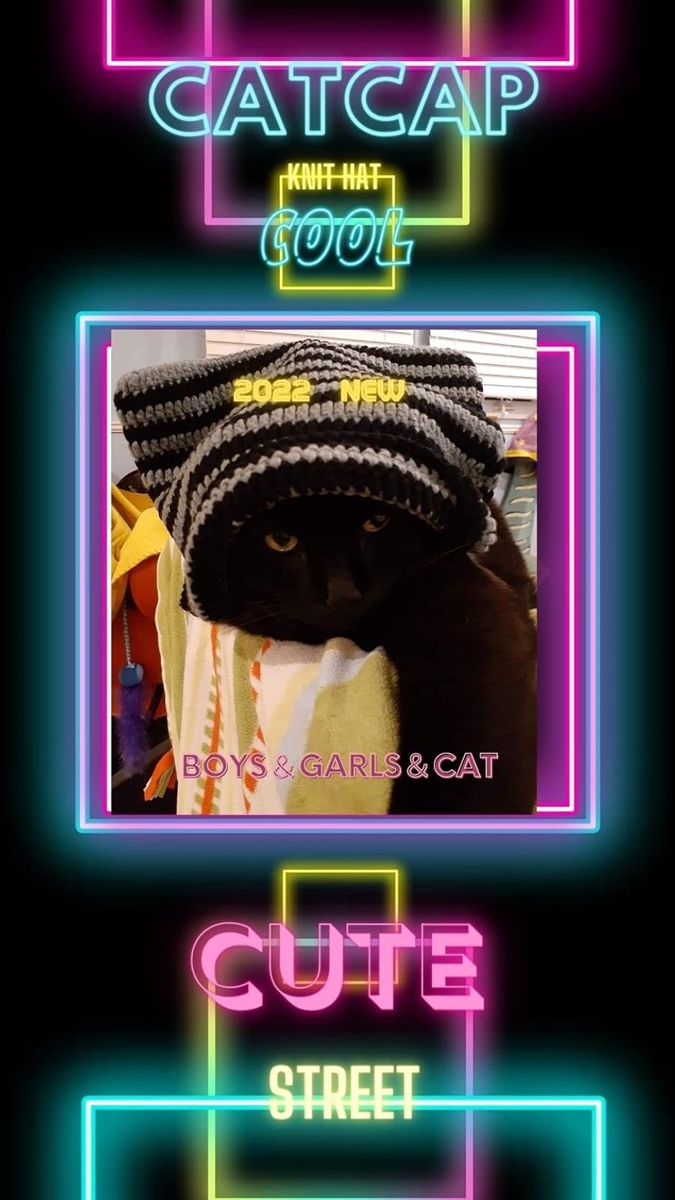 Bg3 猫耳ニット帽 帽子 サブカル系 y2k 地雷系ファッション(ボーダー