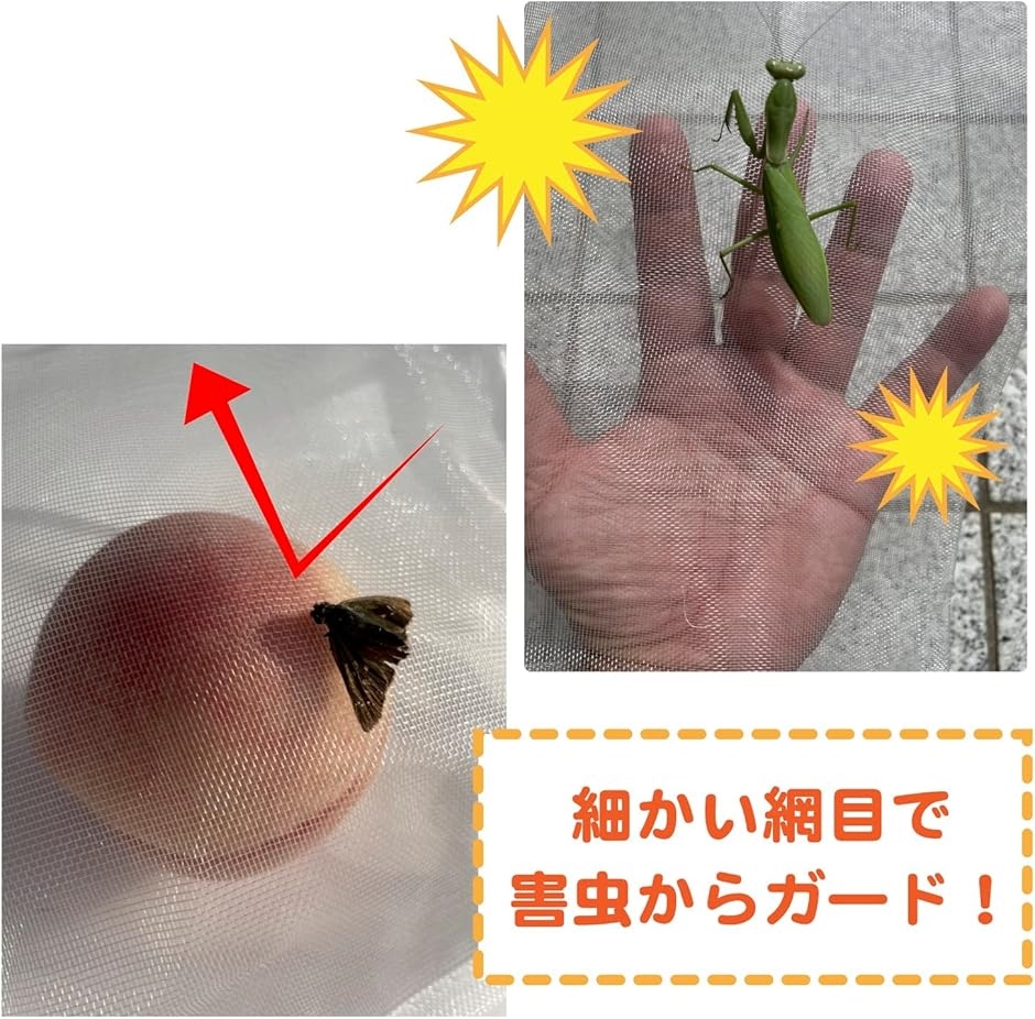 果物 果実 防虫 巾着 袋 保護 ネット 植物 フルーツ 鳥よけ 網 メッシュ 光 通過 農業( 25cmx15cm 50 枚セット)｜horikku｜04