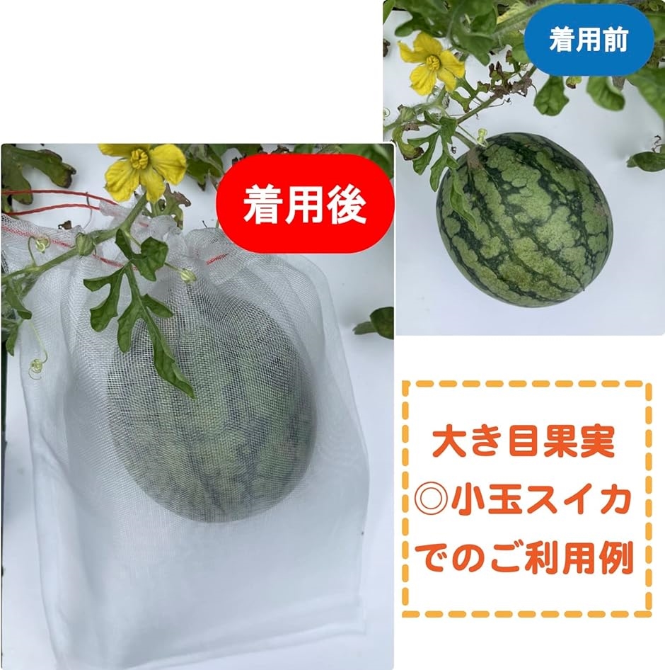 果物 果実 防虫 巾着 袋 保護 ネット 植物 フルーツ 鳥よけ 網 メッシュ 光 通過 農業( 25cmx15cm 50 枚セット)｜horikku｜06