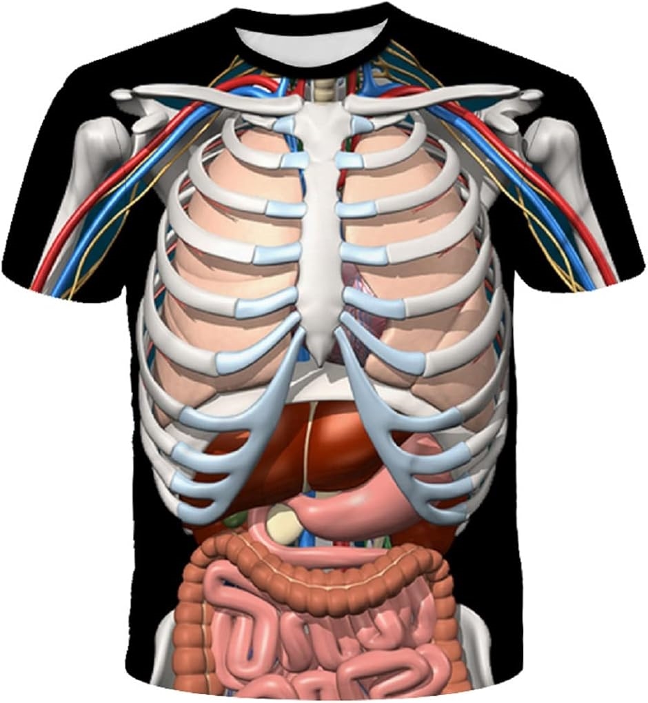 3Dץ ⤷ T ե ǥ ޤ ץ ѡƥ  塼(ȾµT(¢),  XL)