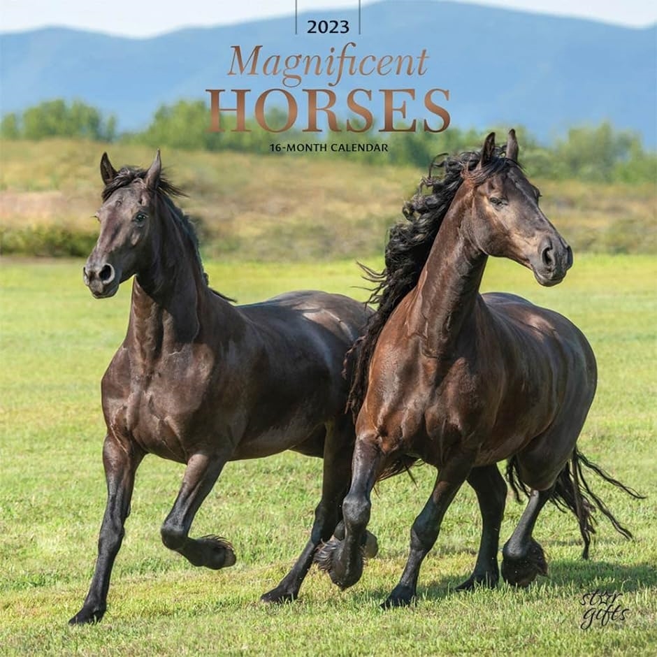 Magnificent Horses 壮大な馬 2023年 カレンダー 令和5年 / 30x60cm 壁掛けカレンダー 動物 写真｜horikku