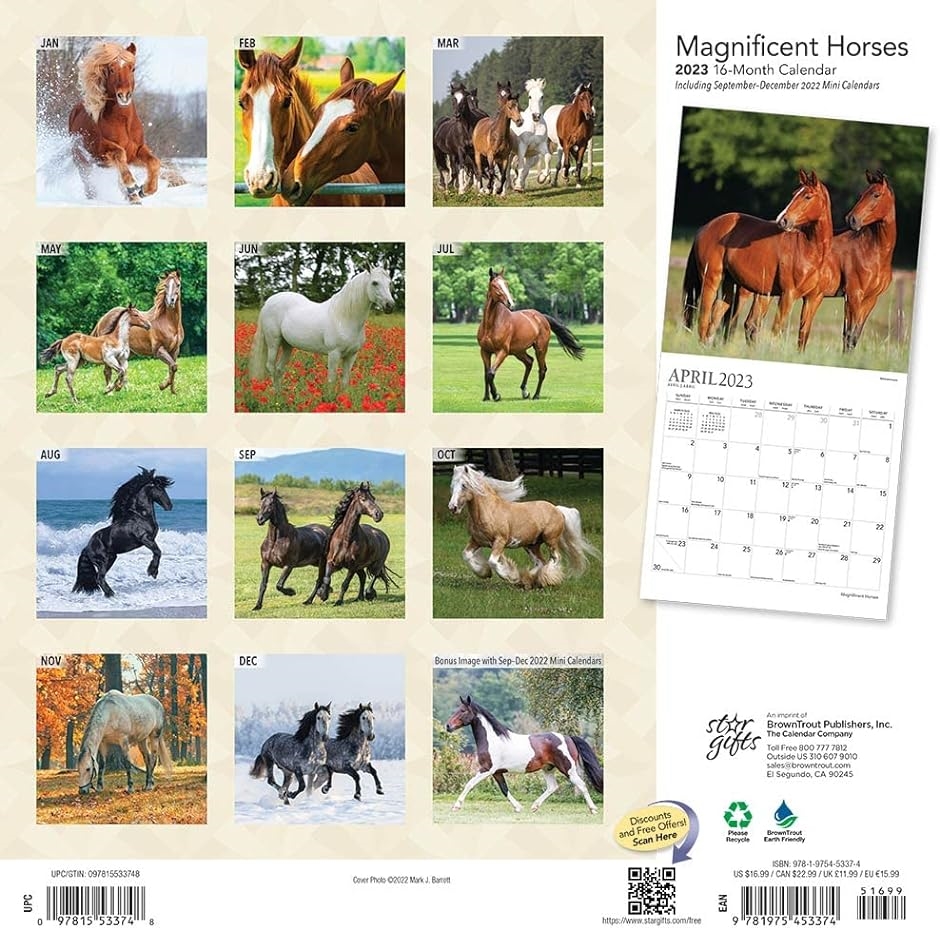 Magnificent Horses 壮大な馬 2023年 カレンダー 令和5年 / 30x60cm 壁掛けカレンダー 動物 写真｜horikku｜02