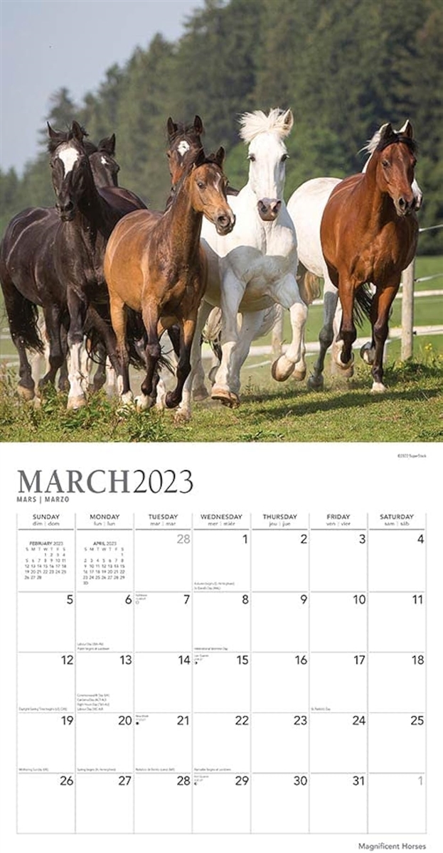 Magnificent Horses 壮大な馬 2023年 カレンダー 令和5年 / 30x60cm 壁掛けカレンダー 動物 写真｜horikku｜03