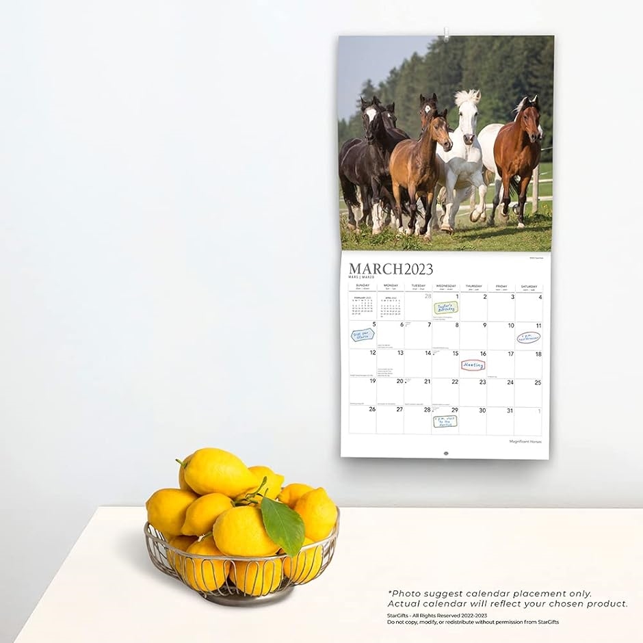 Magnificent Horses 壮大な馬 2023年 カレンダー 令和5年 / 30x60cm 壁掛けカレンダー 動物 写真｜horikku｜04