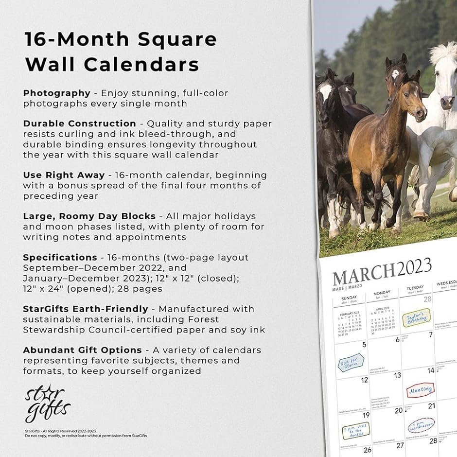 Magnificent Horses 壮大な馬 2023年 カレンダー 令和5年 / 30x60cm 壁掛けカレンダー 動物 写真｜horikku｜05