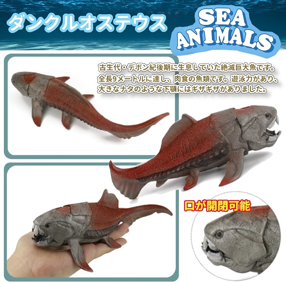 巨大アンモナイトフィギュア　特撮レアもの 41BhI-IWW0L.jpg_BO30,255,255,