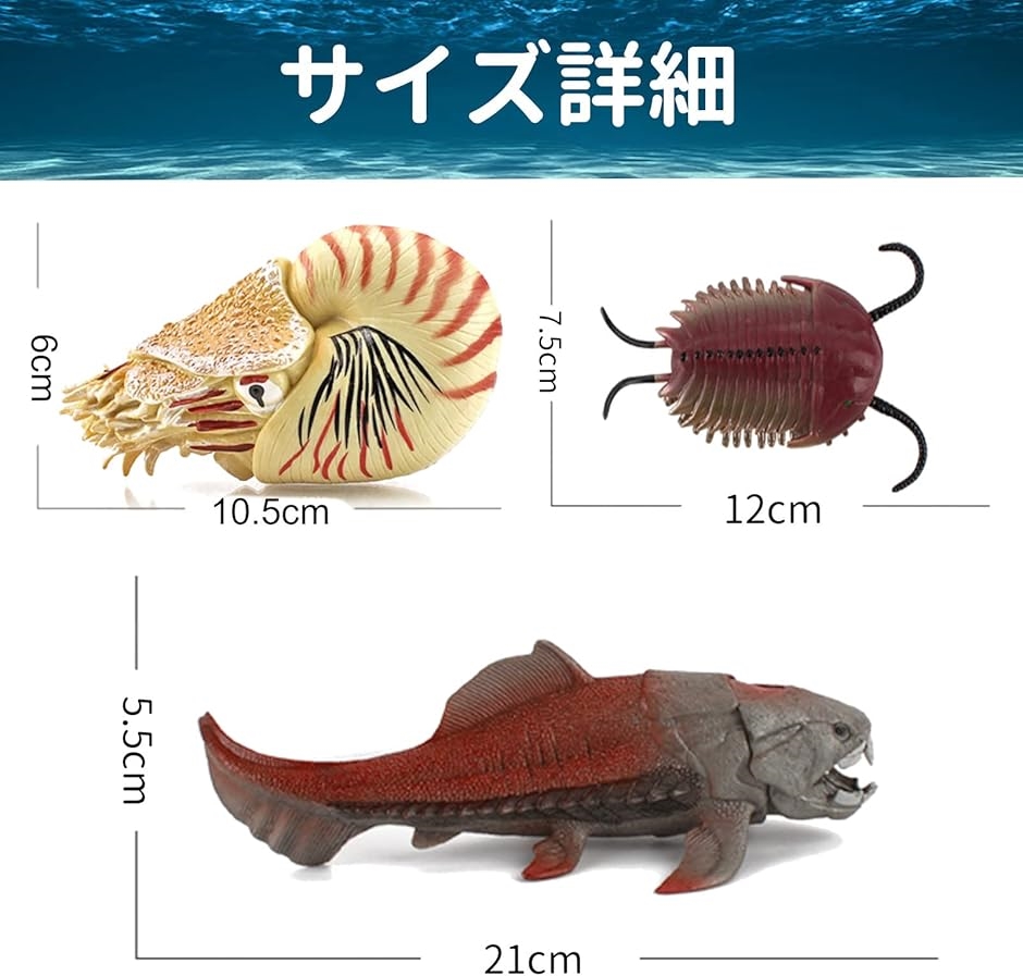 アンモナイト フィギュアのおすすめ人気商品一覧 通販 - Yahoo