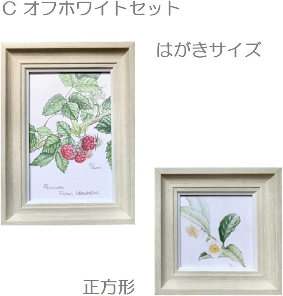 フォトフレーム 額 デザインフォトフレーム 樹脂 PSフォーム