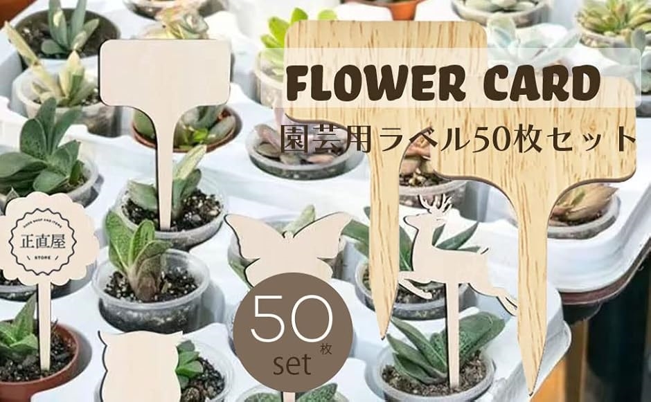 木製 園芸用 ラベル 植物ラベル 植物用タグ 園芸ラベル 花壇 ガーデン フラワーカード 50枚入 2b2w18hv スピード発送 ホリック 通販 Yahoo ショッピング 木製 園芸用 ラベル 植物ラベル 植物用タグ 園芸ラベル 花壇 ガーデン フラワーカード 50枚入 2b2w18hv スピード発送 ホリック 通販 Yahoo ショッピング