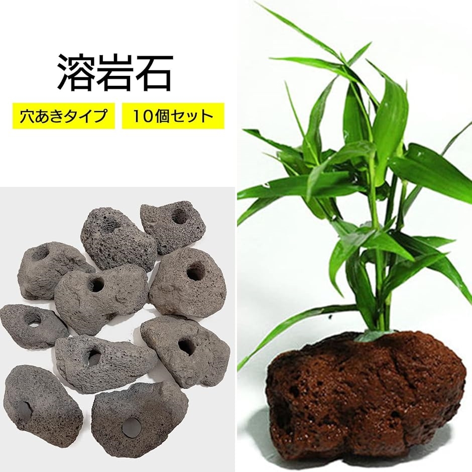 モデルノ ラ テール 溶岩石 穴あき アクアリウム オブジェ 置物 水槽