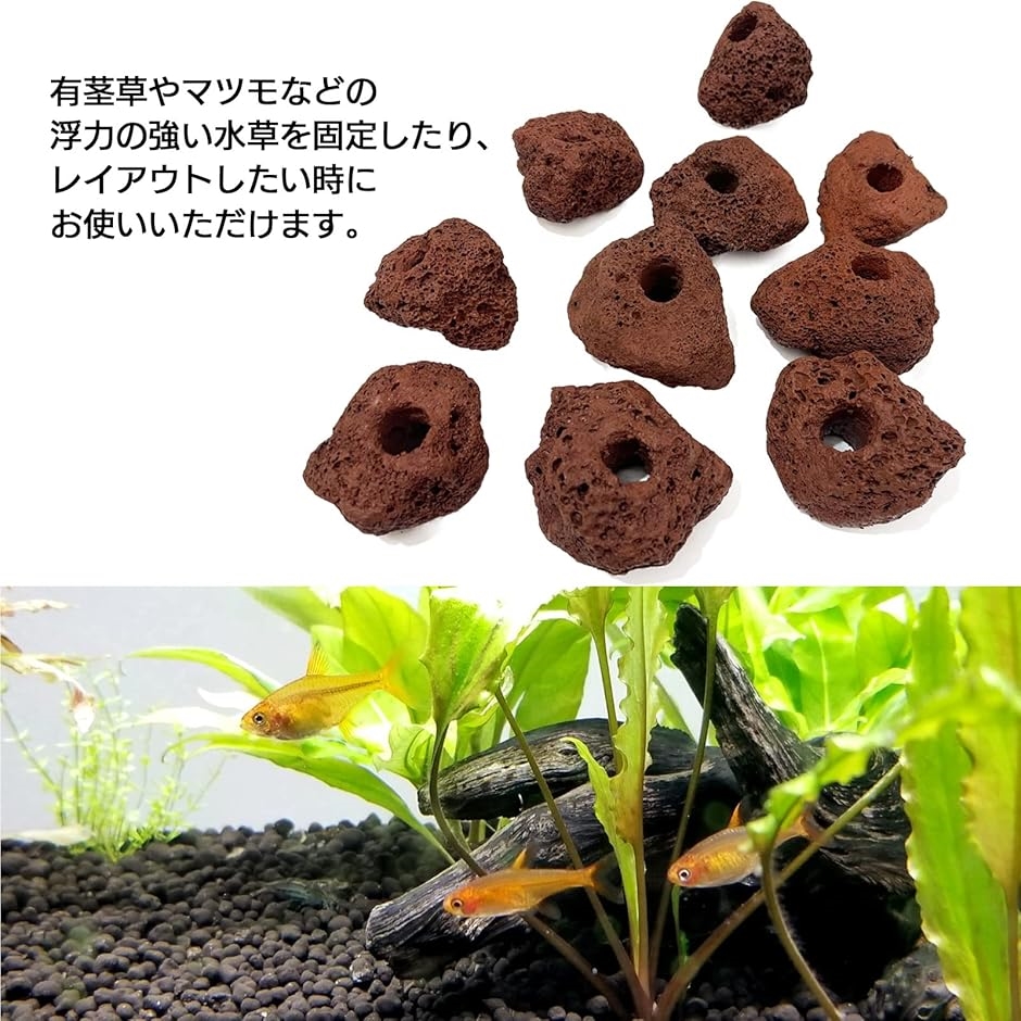 モデルノ ラ テール 溶岩石 穴あき アクアリウム オブジェ 置物 水槽