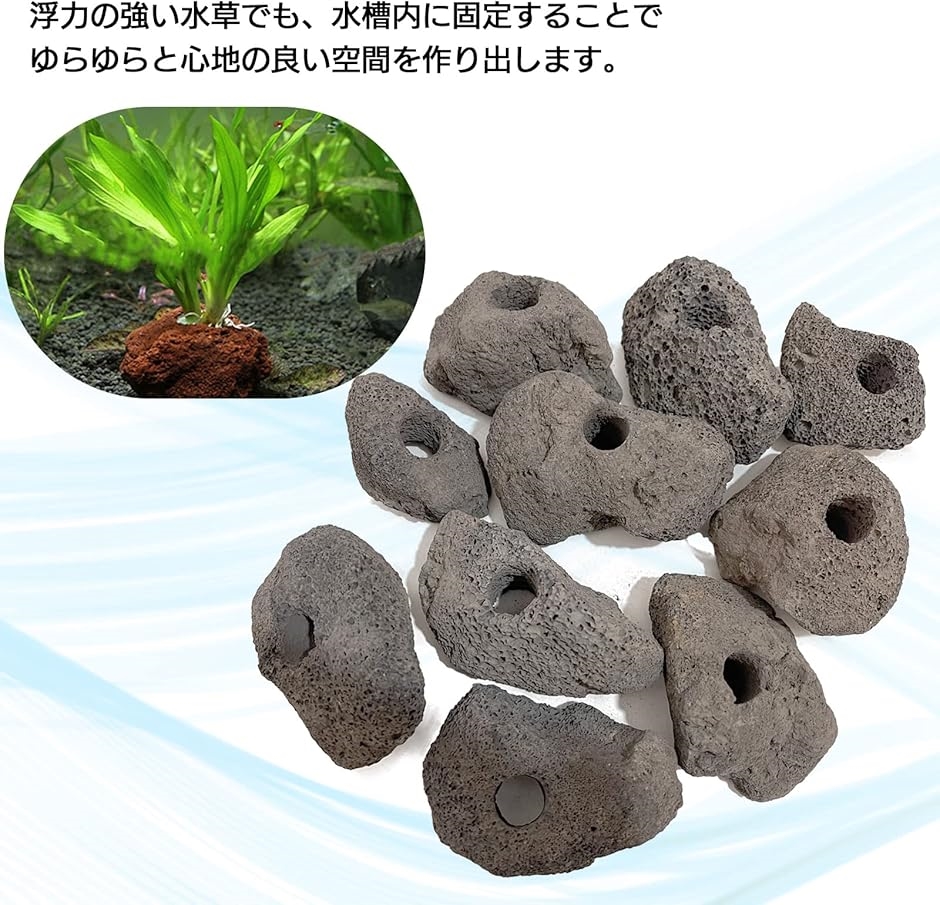 モデルノ ラ テール 溶岩石 穴あき アクアリウム オブジェ 置物 水槽