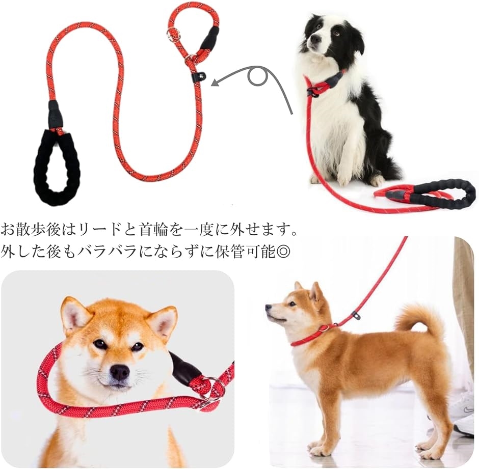 犬用 スリップリード 引っ張り防止 躾 訓練 お散歩 首輪 一体型 ペット用 ロープ トレーニング( ブルー,  10mm)