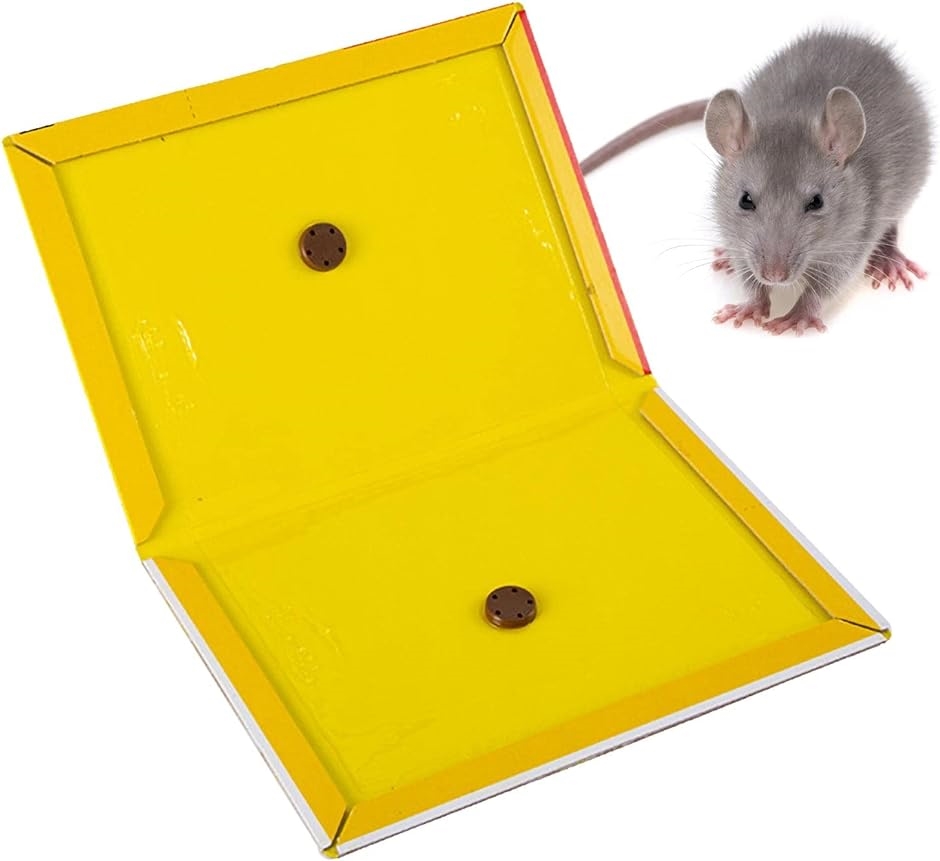 ネズミ捕り 粘着シート 業務用 プロシート プロ仕様 耐久性 耐水 粘着板( 10枚セット)｜horikku