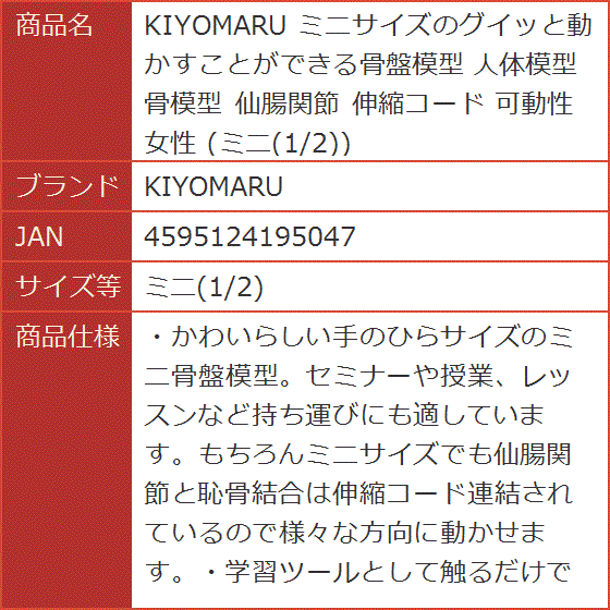 女性骨盤模型の商品一覧 通販 - Yahoo!ショッピング