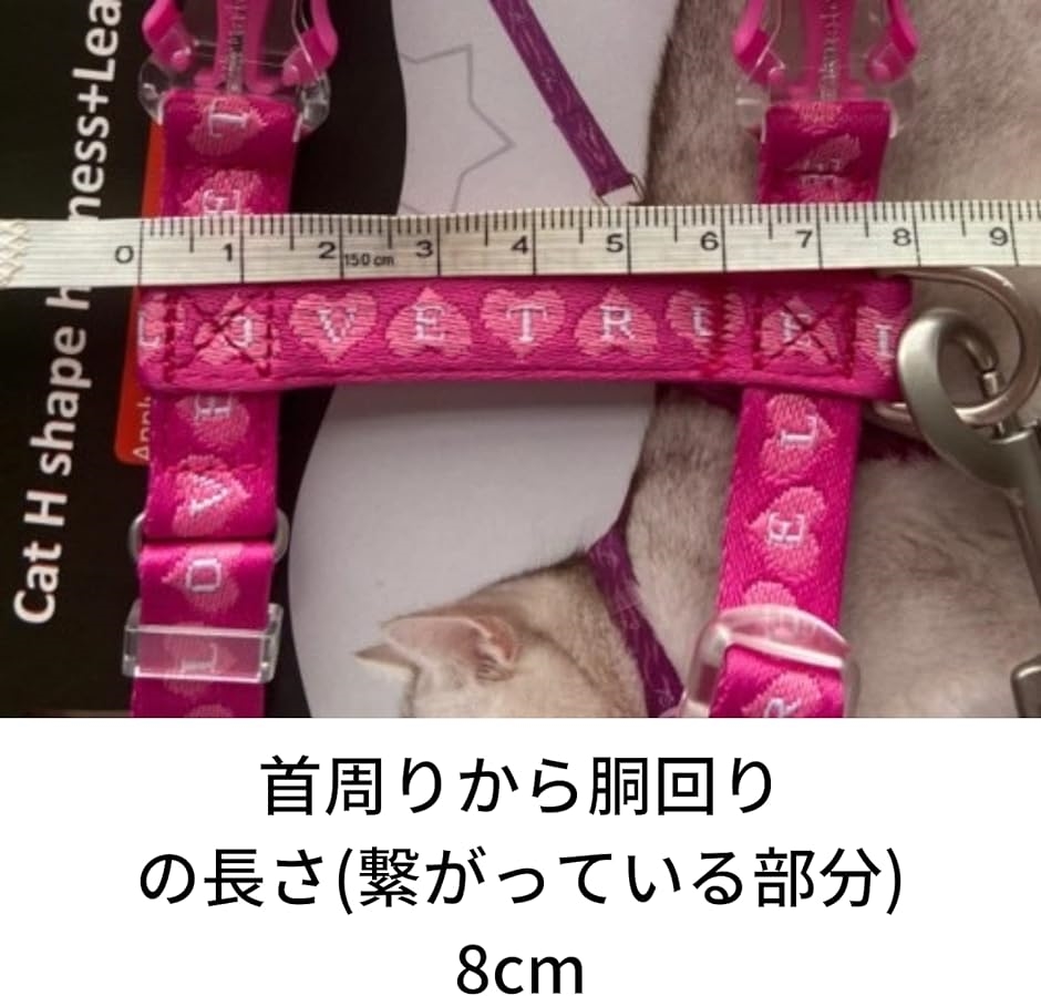 猫用ハーネスリードセット 調整可能 フリーサイズ MDM( Blue)｜horikku｜04