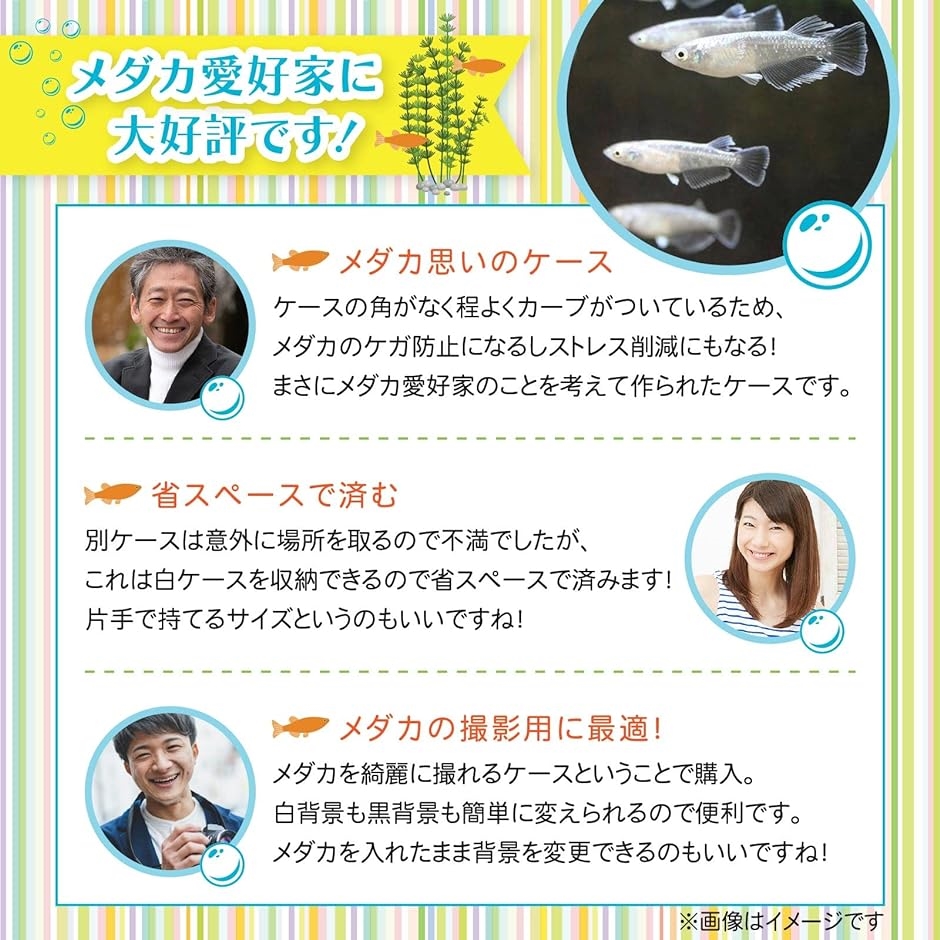 めだか 選別 ケース プロ仕様 撮影メダカ めだか容器 白黒セット 横見容器 観察ケース MDM｜horikku｜06