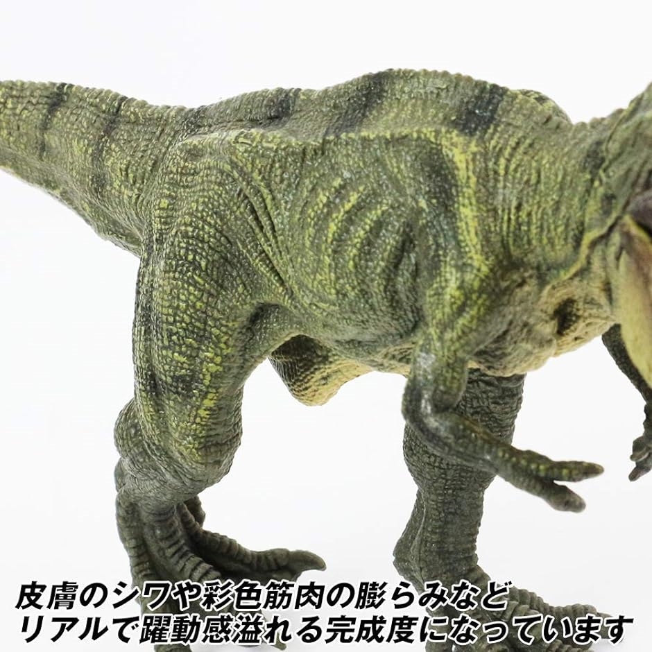 30cm級 恐竜 ティラノサウルス フィギュア 両足自立 PVC 口開閉 MDM( グリーン)｜horikku｜03