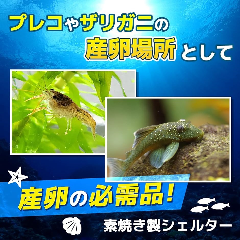 産卵 筒 シェルター 熱帯魚 アクアリウム 隠れ家 土管 洞窟 水槽 装飾 飾り( 茶色,  4個セット)｜horikku｜02