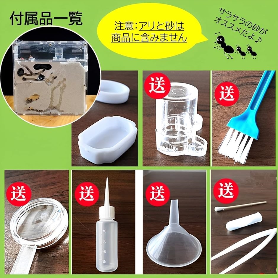 アリの巣 観察 キット 砂は別売 蟻 アリ飼育キット 飼育ケース