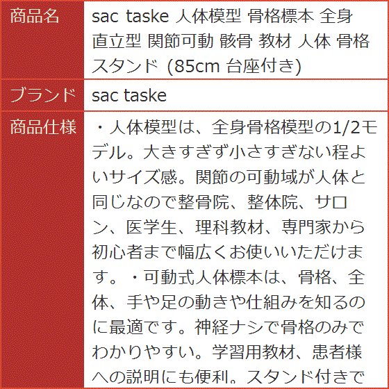 人体模型 骨格標本 全身 直立型 関節可動 骸骨 教材 スタンド 85cm