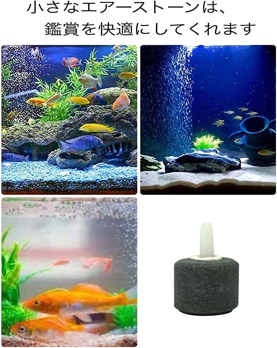 エアーストーン 2 2mmx2 1mm 水槽 メダカ 金魚 熱帯魚 水草 ポンプ アクアリウム 酸素 エアレーション 小さい 50個 2b2jhsndr9 スピード発送 ホリック 通販 Yahoo ショッピング