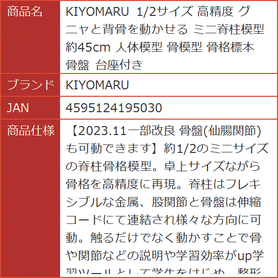 1/2サイズ 高精度 グニャと背骨を動かせる ミニ脊柱模型 約45cm