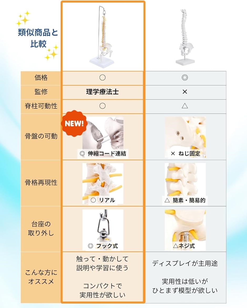 1/2サイズ 高精度 グニャと背骨を動かせる ミニ脊柱模型 約45cm Amazon.co.jp: KIYOMARU 1/2サイズなのに高精度かつグニャと背骨