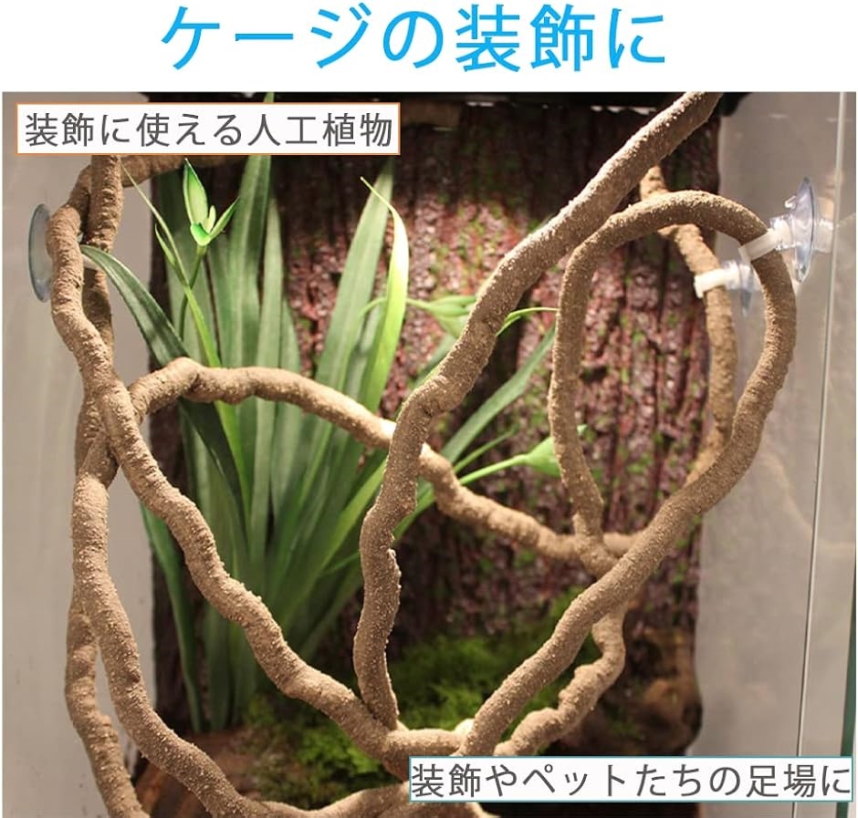 爬虫類 木 木登り 木登り用枝 つた 人工植物 人工つる 遊び場 カメレオン トカゲ｜horikku｜02