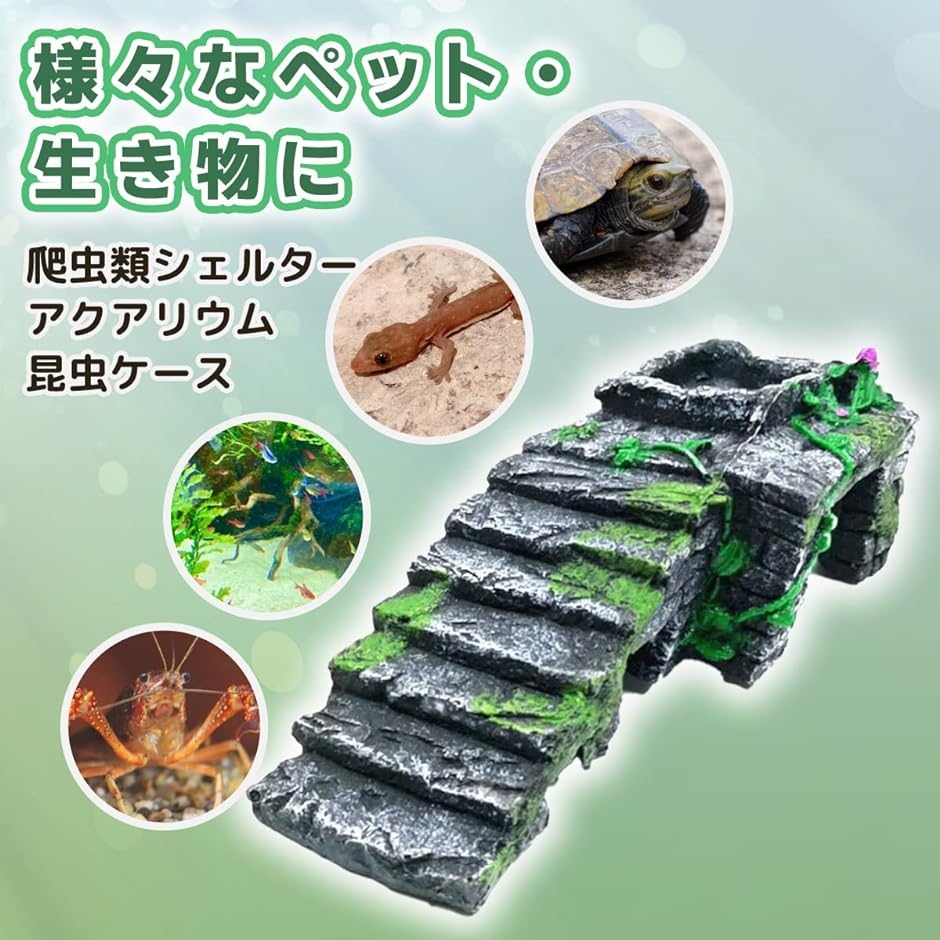 n1アク抜き済み流木 爬虫類シェルター テラリウム インテリア