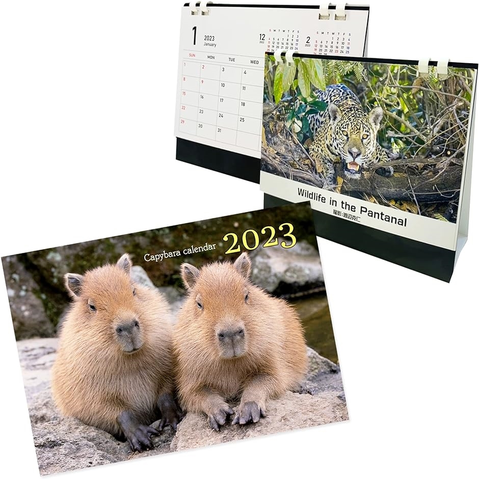 伊豆シャボテン動物公園 x 写真家 渡辺克仁 2023 オリジナルカレンダー( 卓上カレンダーセット)