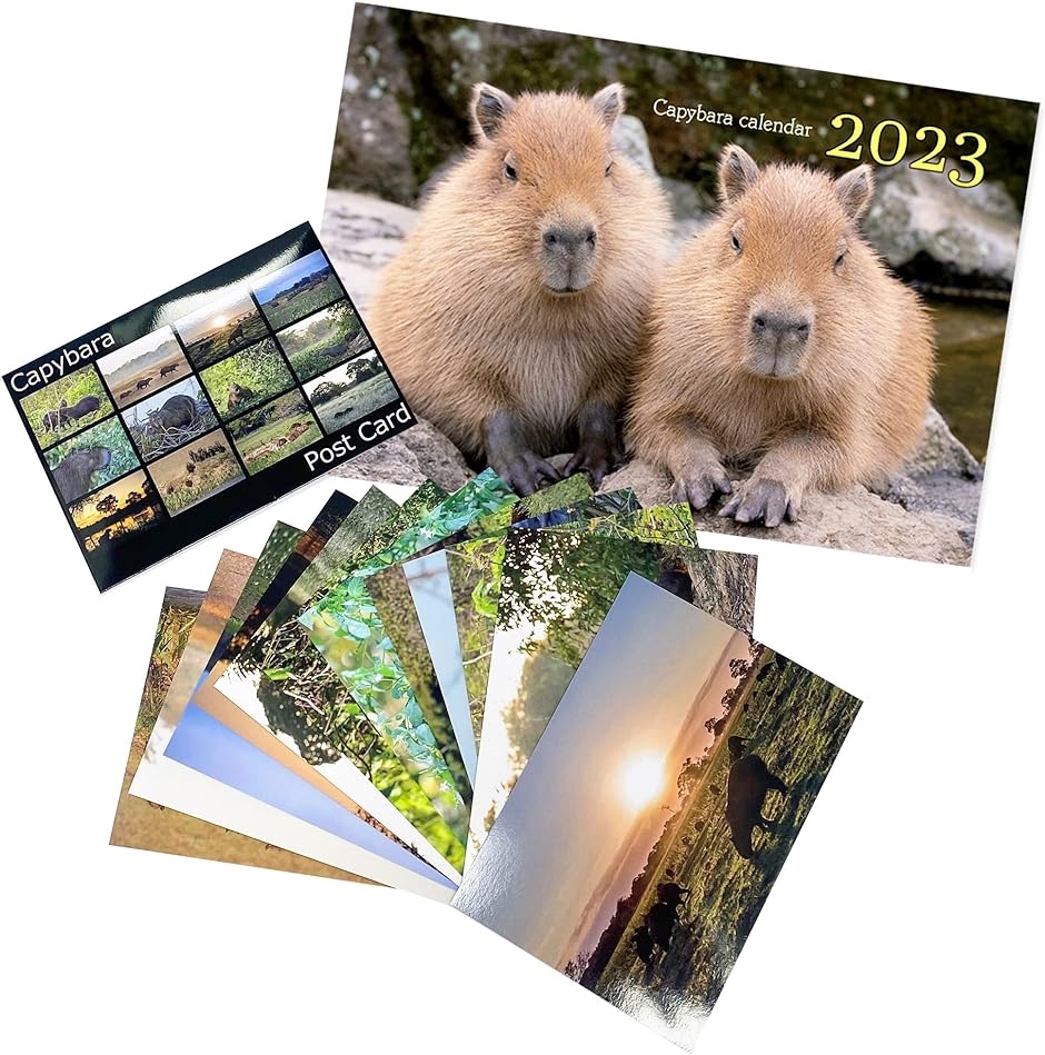 伊豆シャボテン動物公園 x 写真家 渡辺克仁 2023 オリジナルカレンダー( ポストカード野生編セット)