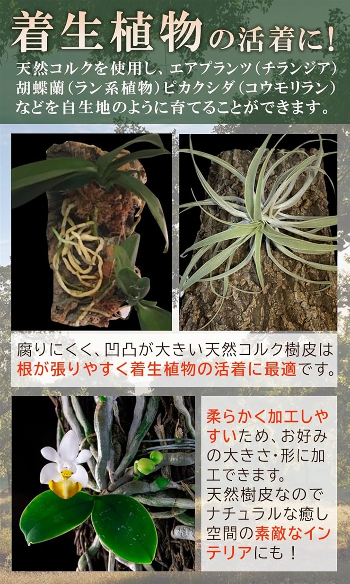 コルク樹皮 着生 エアプランツ チランジア バークチップ 爬虫類 観葉