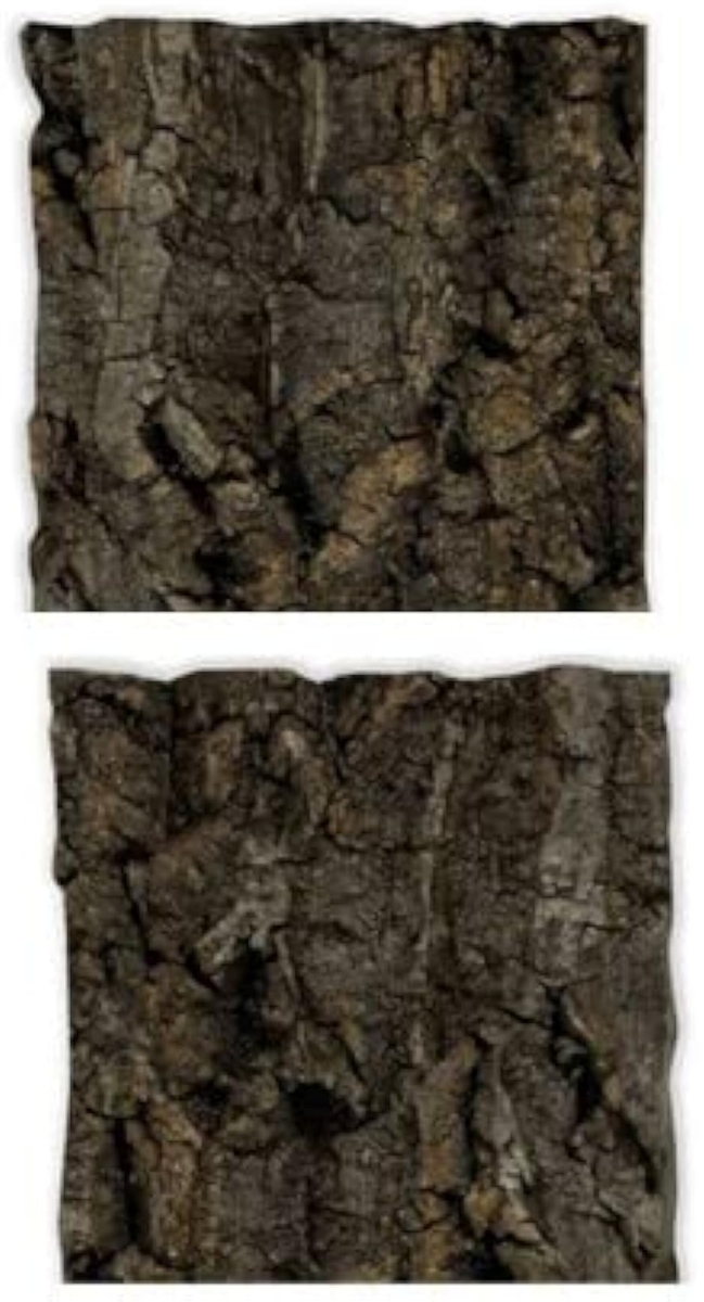 �R���N���� ���� �G�A�v�����c �`�����W�A ঒��� (���F (Cha-shoku�C Brown),  �~�j�T�C�Y 80x100�@�Q��)