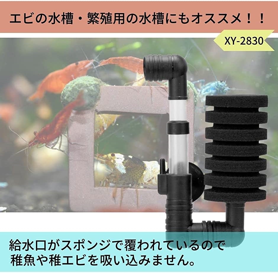 水槽 フィルター スポンジ ろ過 水質改善 アクアリウム Xy Mdm Xy 5個セット 2b2th14vvw スピード発送 ホリック 通販 Yahoo ショッピング