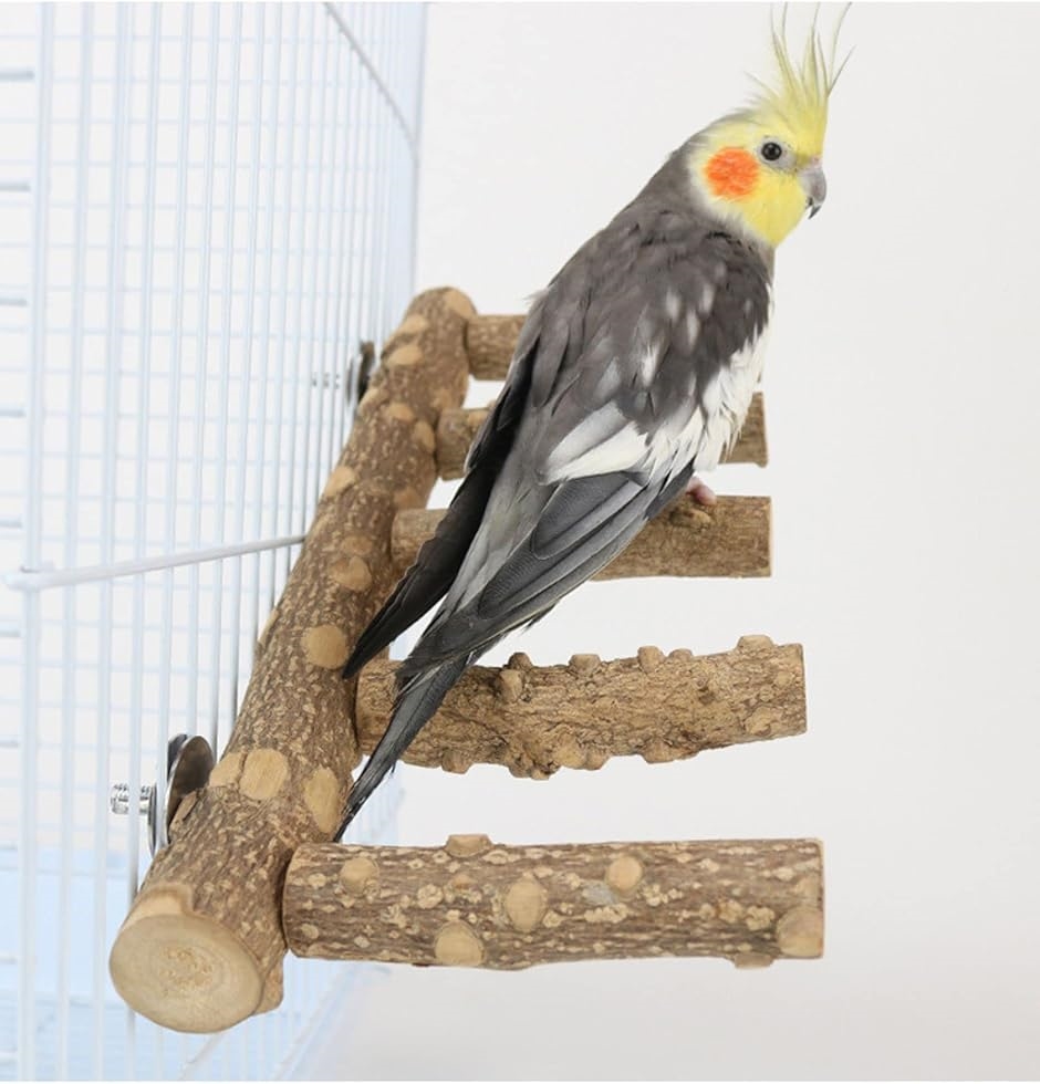 鳥の5連とまり木 天然木 鳥スタンド 枝 インコ おもちゃ 鳥