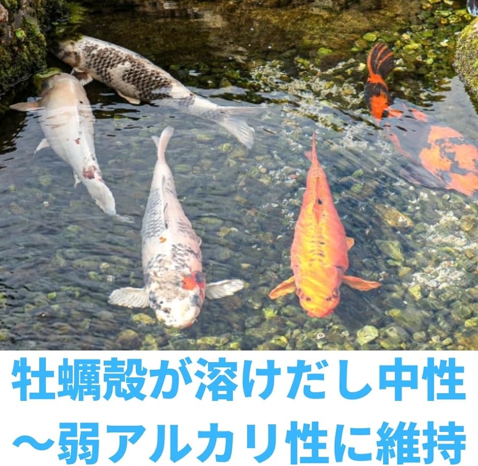 OーOー オーオー特選 国産牡蠣殻 メダカ 金魚弱アルカリ性水質 MDM( 400g)｜horikku｜04