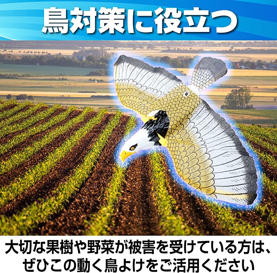 ワタナベページ　竹炭バラ 竹炭パウダー - オレンジフラワー