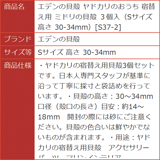 ヤドカリのおうち 宿替え用 ミドリの貝殻 ３個入 Sサイズ 高さ 30