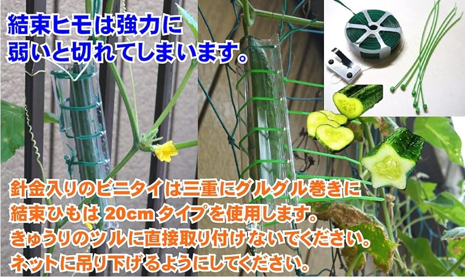 きゅうりの型 デコきゅうり 家庭菜園 おもしろ キュウリ 5本 セット( 星形)｜horikku｜08