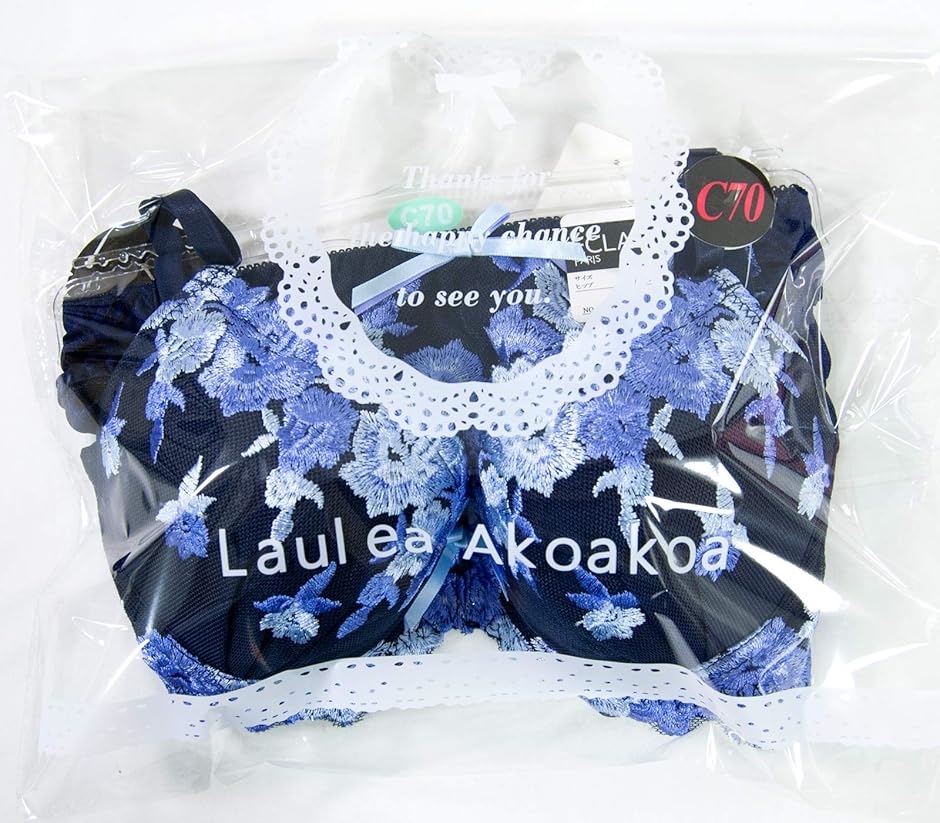 Salute ブラジャー(C65)ショーツ(M)セット 新品 ✴︎レア商品✴︎Salute ブラジャーショーツセット C65 - メルカリ