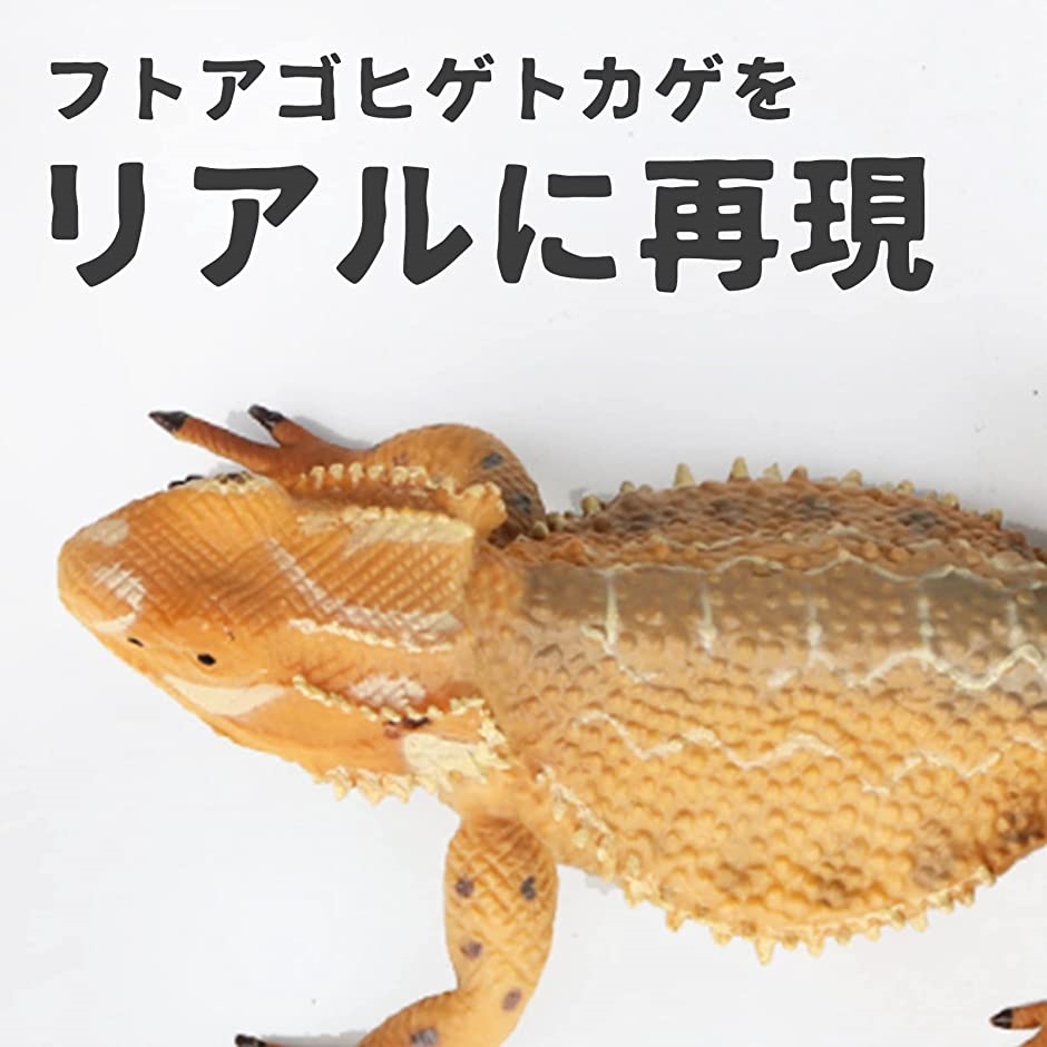 トカゲ フィギュア 爬虫類 置き物 オブジェ 装飾 リアル( フトアゴヒゲトカゲ) :2B43YXU0X9:スピード発送 ホリック - 2b43yxu0x9 1 トカゲ フィギュア 爬虫類 置き物 オブジェ 装飾 リアル( フトアゴヒゲトカゲ) :2B43YXU0X9:スピード発送 ホリック - 2b43yxu0x9 1