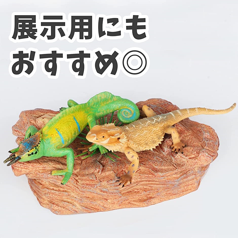 トカゲ フィギュア 爬虫類 置き物 オブジェ 装飾 リアル( フトアゴヒゲトカゲ) :2B43YXU0X9:スピード発送 ホリック - 2b43yxu0x9 2 トカゲ フィギュア 爬虫類 置き物 オブジェ 装飾 リアル( フトアゴヒゲトカゲ) :2B43YXU0X9:スピード発送 ホリック - 2b43yxu0x9 2