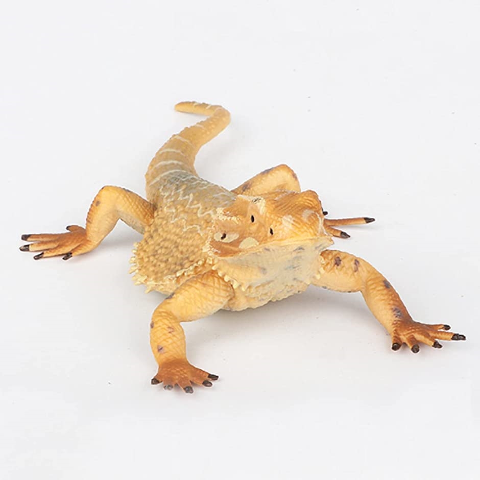 トカゲ フィギュア 爬虫類 置き物 オブジェ 装飾 リアル( フトアゴヒゲトカゲ) :2B43YXU0X9:スピード発送 ホリック - 2b43yxu0x9 5