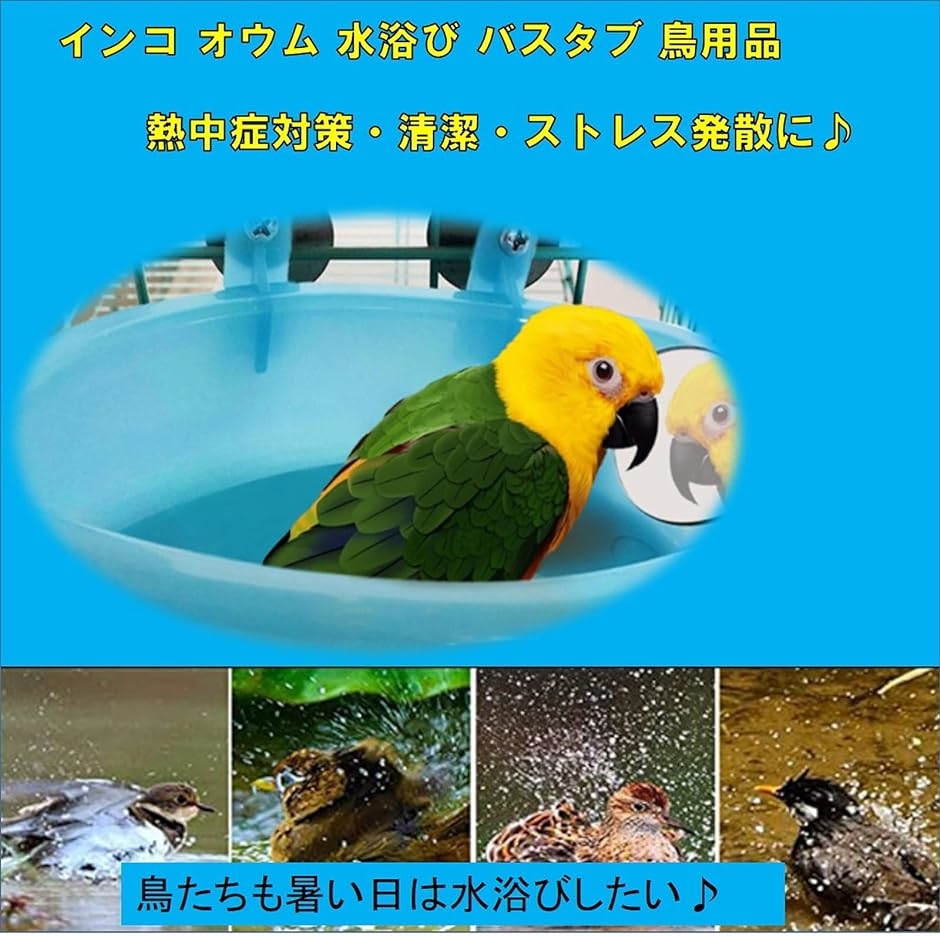 鳥 水浴び 容器 鏡付き｜horikku｜03