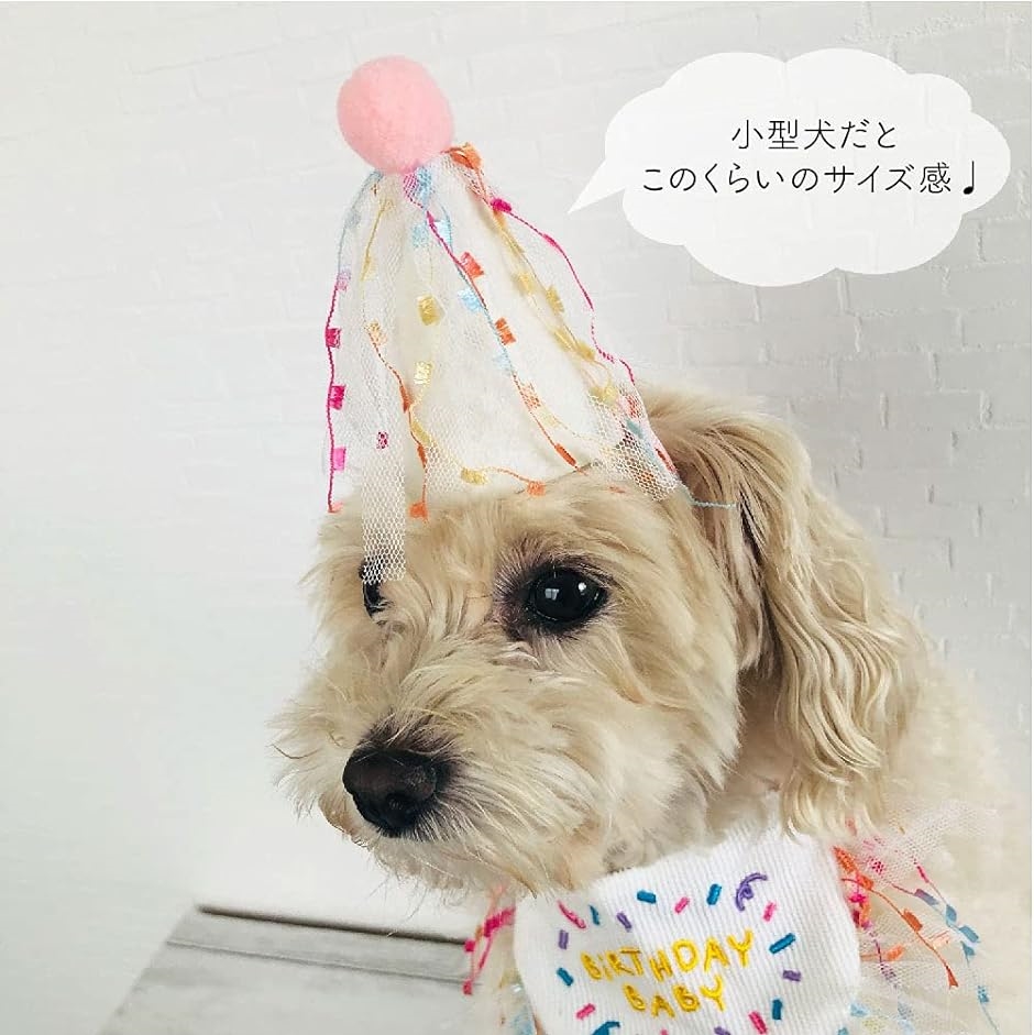ペット用 バースデースタイ 帽子 ２点セット 犬 猫 誕生日 ビブ よだれかけ ハット 紐付き スカーフ バンダナ パーティー 記念撮影 お祝い